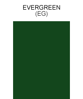Nucor Evergreen